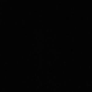 Meet your Posher, Ali